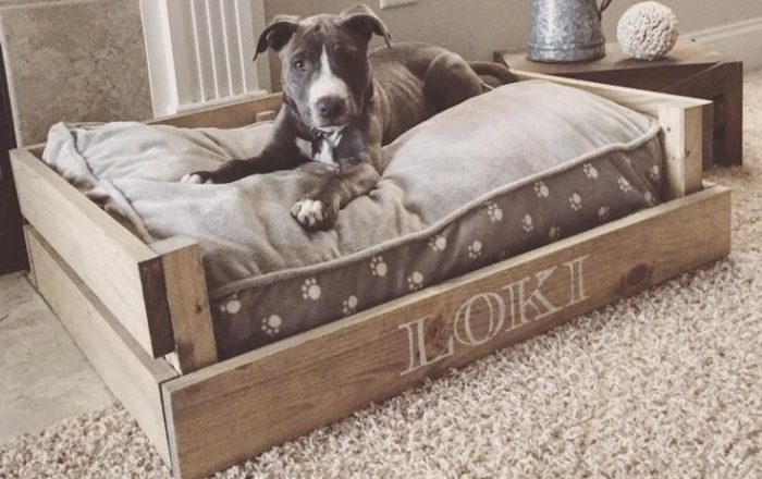 Wicker Dog Beds: Selecting the Best One